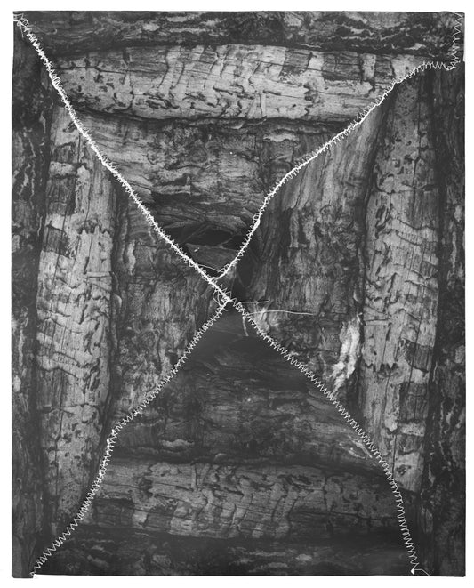 Asher Milgate - IF IT BE CUT DOWN, IT WILL SPROUT AGAIN