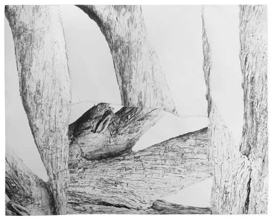 Asher Milgate - THE WORD BECAME FLESH