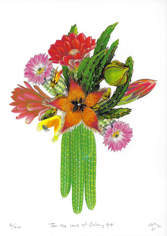 For the love of Botany #4 - Limited Edition A4 Print by Anna Goodhind