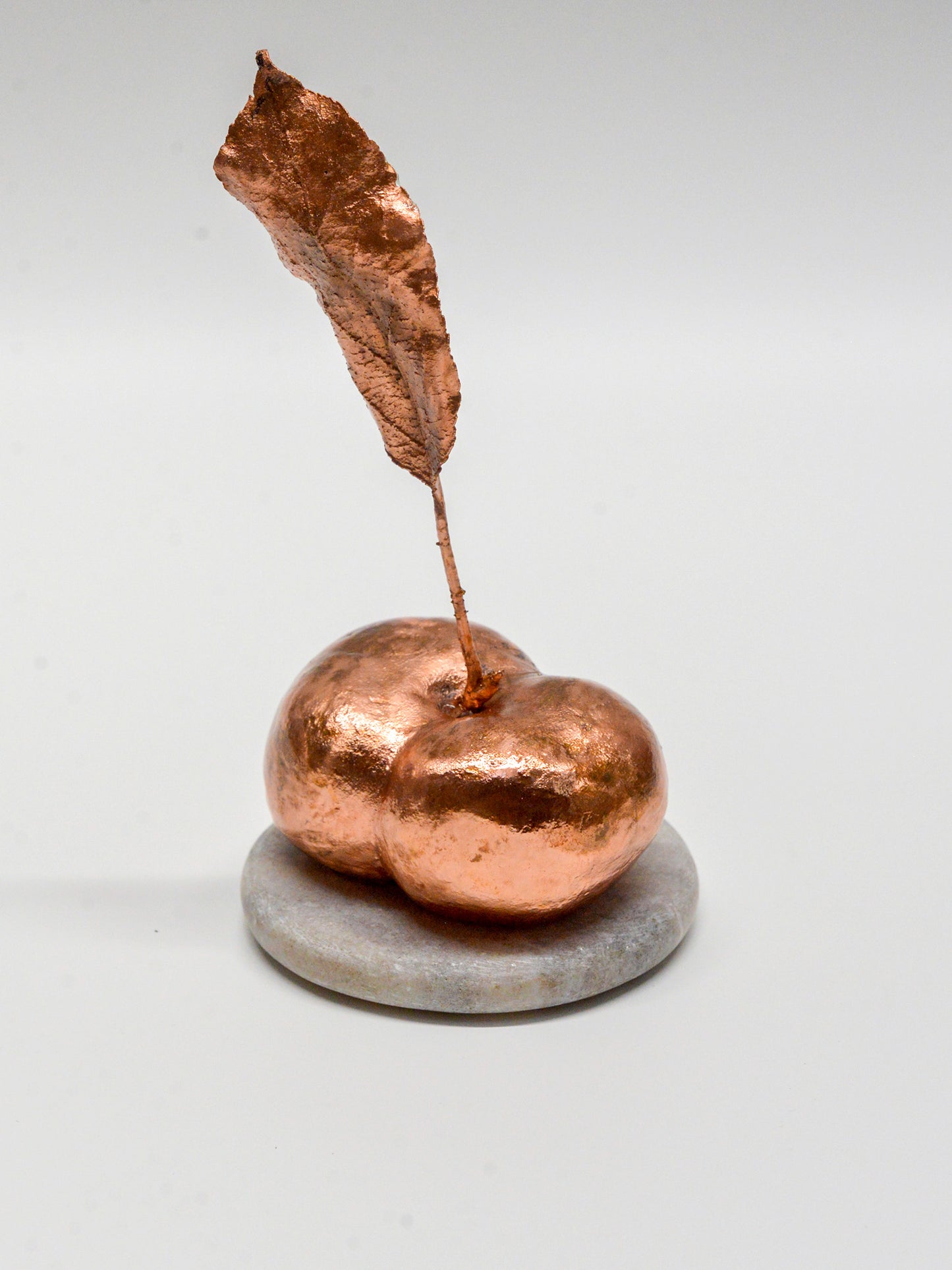 Immortal Peach - Datsun Tran