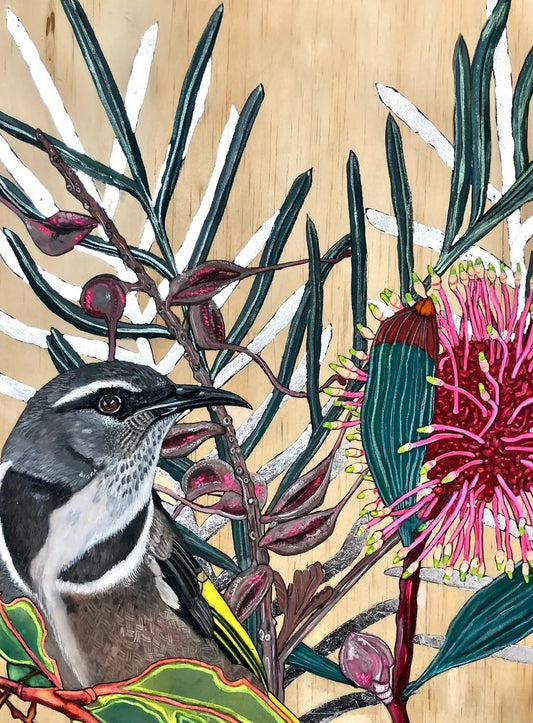 Mr. Honey with Pink Cushion Flower and Silver Leaves - Large A2 Limited Edition Framed Print