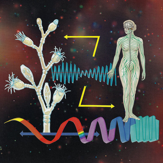 Networks in Resonance - Limited Edition A3 Print by Anna Goodhind