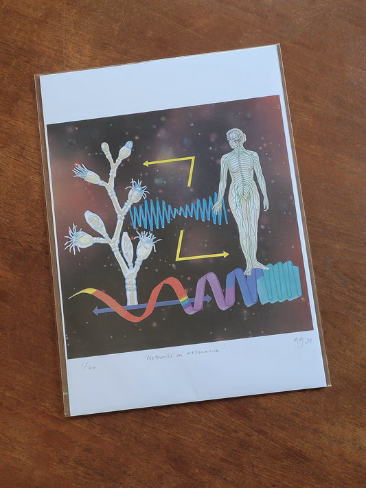 Networks in Resonance - Limited Edition A3 Print by Anna Goodhind
