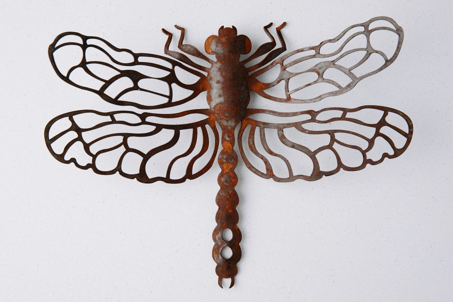 Small Wall Dragonfly