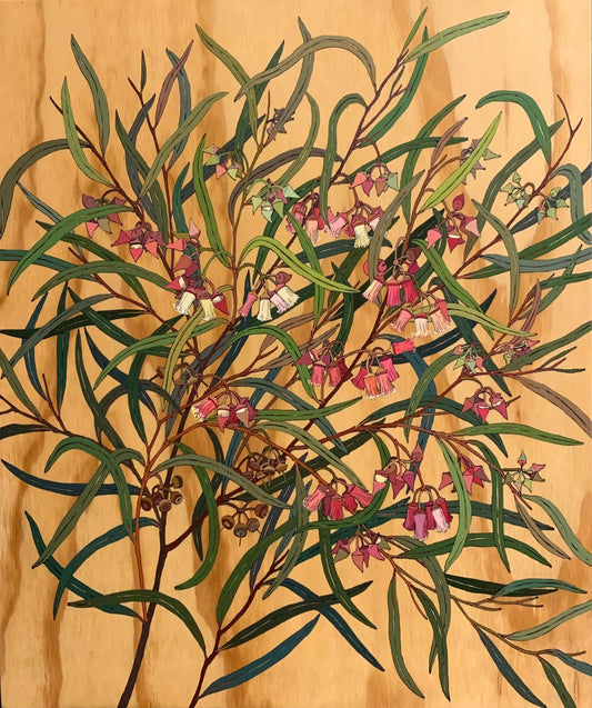 Eucalyptus Rosacea - Irina Nazarova