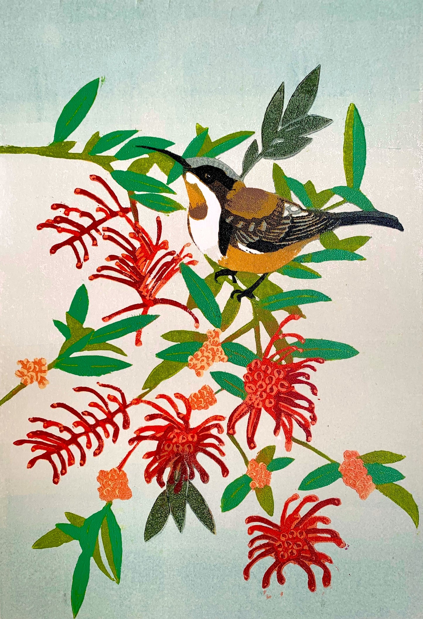 Spinebill & Grevillea - Limited Edition Reduction Linocut Print