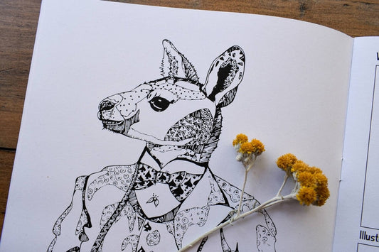Anthropomorphic Australian Animal Colouring Book