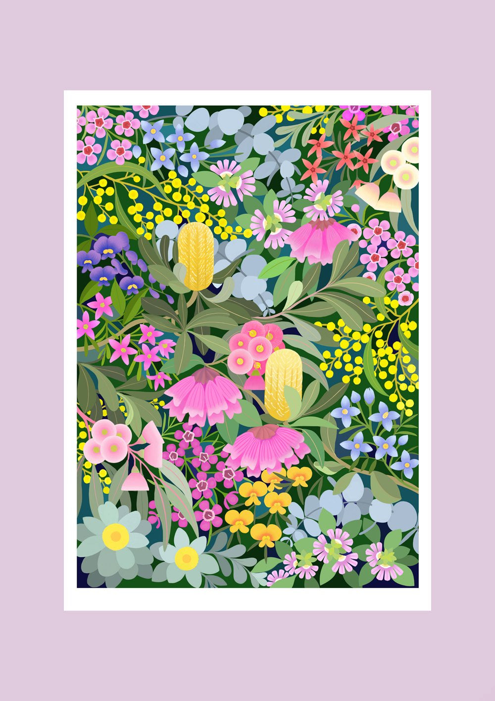 Australian Native Flora - Limited Edition Print