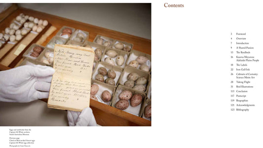 Flight - An Illustrated Notebook of Bird Life & Loss