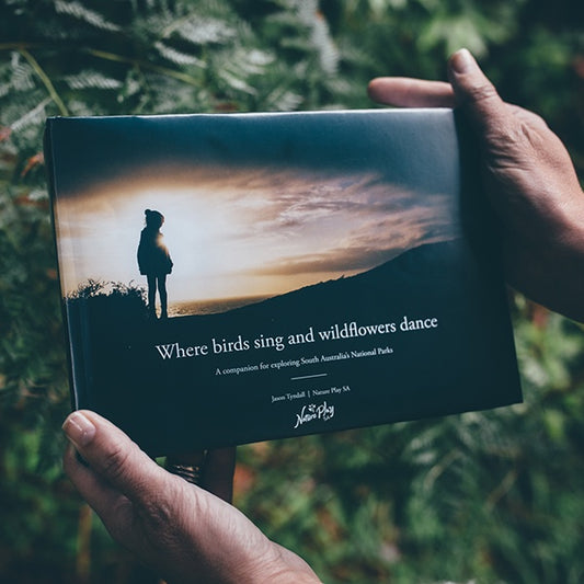 Where Birds Sing and Wildflowers Dance by Jason Tyndall