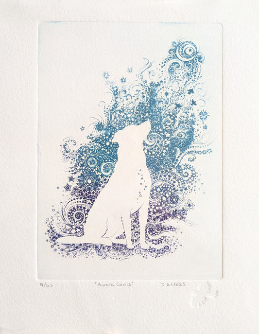 Aurora Canis - Limited Edition Solarplate Etching