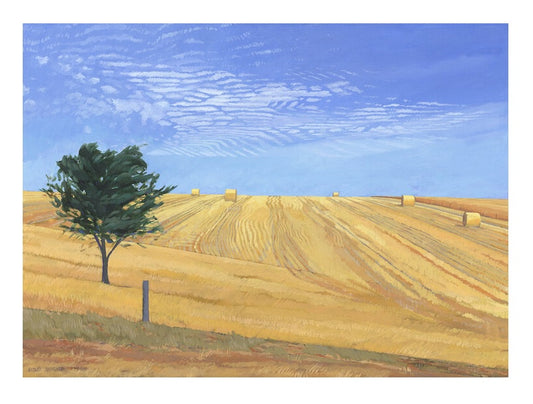 Rhythm In Lines - Giclée Print (Large)