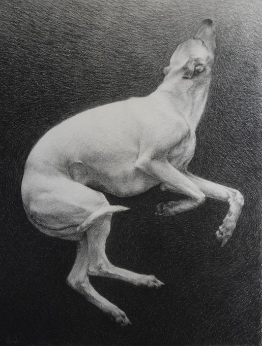 DOG DRAWING WORKSHOP WITH ELEANOR NOIR