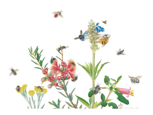 Bee Brunch - Limited Edition Print by Linda Catchlove