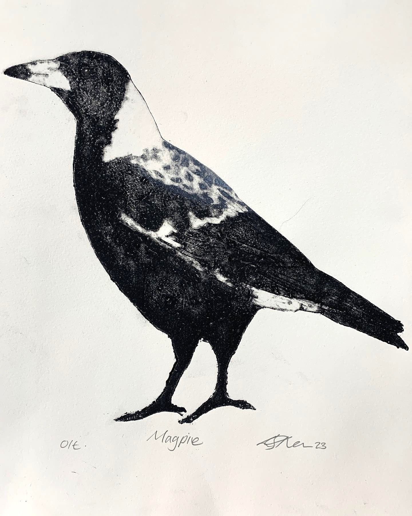 Lone Magpie - Open Edition Collagraph Print