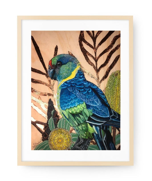 'Mr. Mallee with Banksia Flowers' - Framed Watercolour Painting