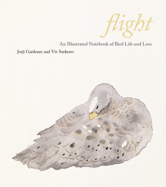 Flight - An Illustrated Notebook of Bird Life & Loss