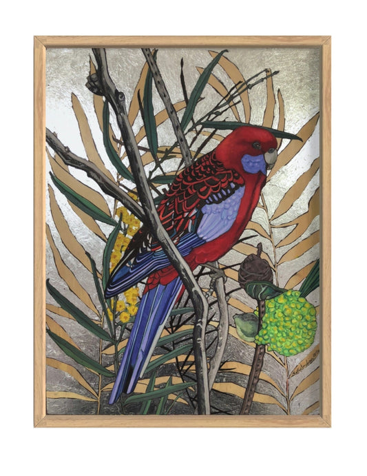 'Mr. Rosella in a Silver Sky' - Framed Watercolour Painting